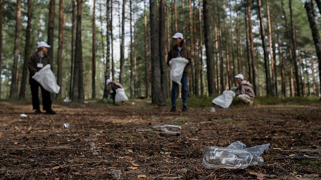 Forest cleanup distance