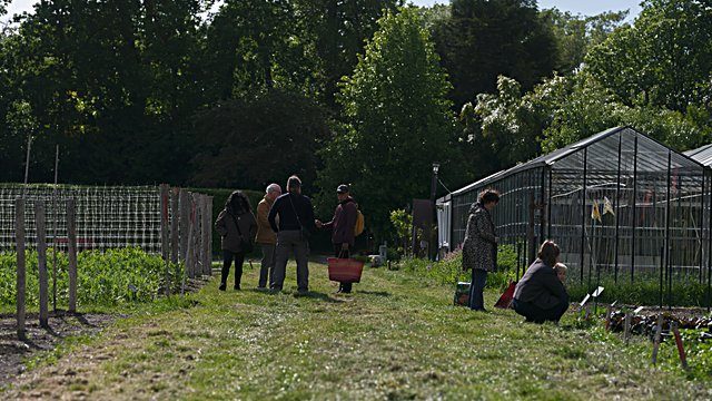 Community garden greenhouse group
