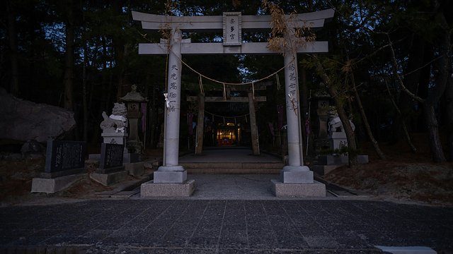 Torii gate forest dusk